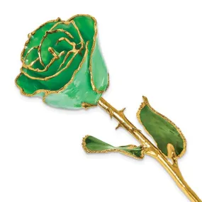 Birthstone Emerald Green Colored Rose for May with Gold Trim