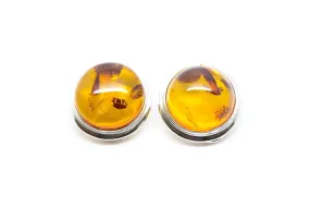 Elegant Round Amber Clip On Earrings - Lightweight Baltic Amber Earrings with Sterling Silver Frame