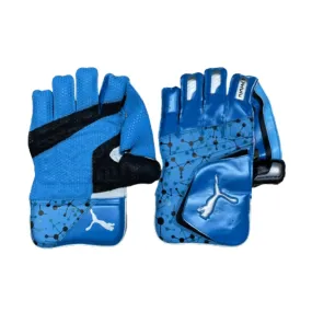 Puma Future 20.1 Cricket Wicket Keeping Gloves