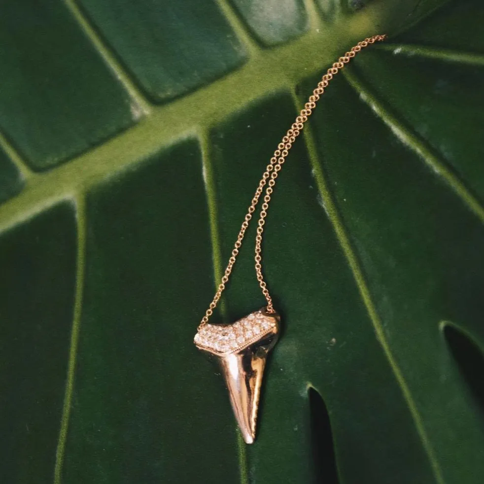 Sharktooth Necklace with Pavé Top