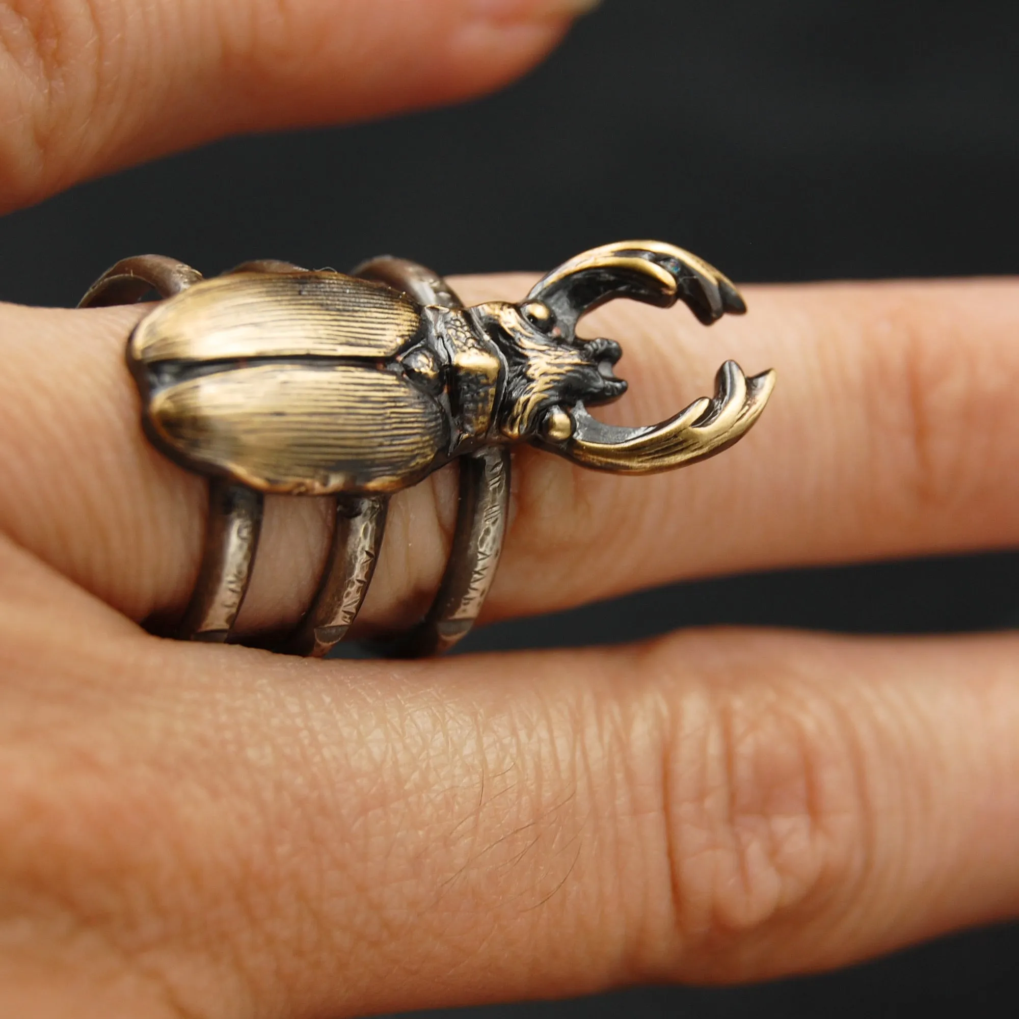 Sterling Silver and Brass Stag Beetle Insect Statement Ring -- Sizes 5 through 10 Available