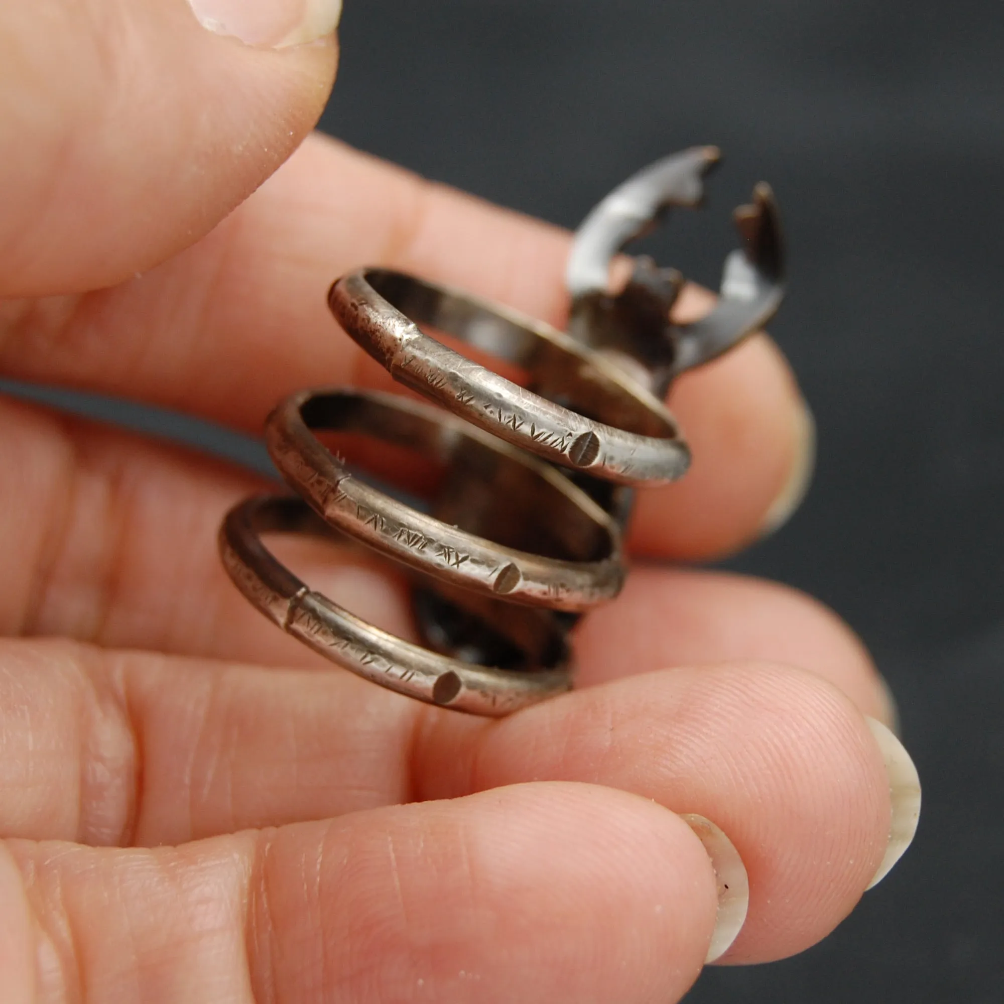 Sterling Silver and Brass Stag Beetle Insect Statement Ring -- Sizes 5 through 10 Available