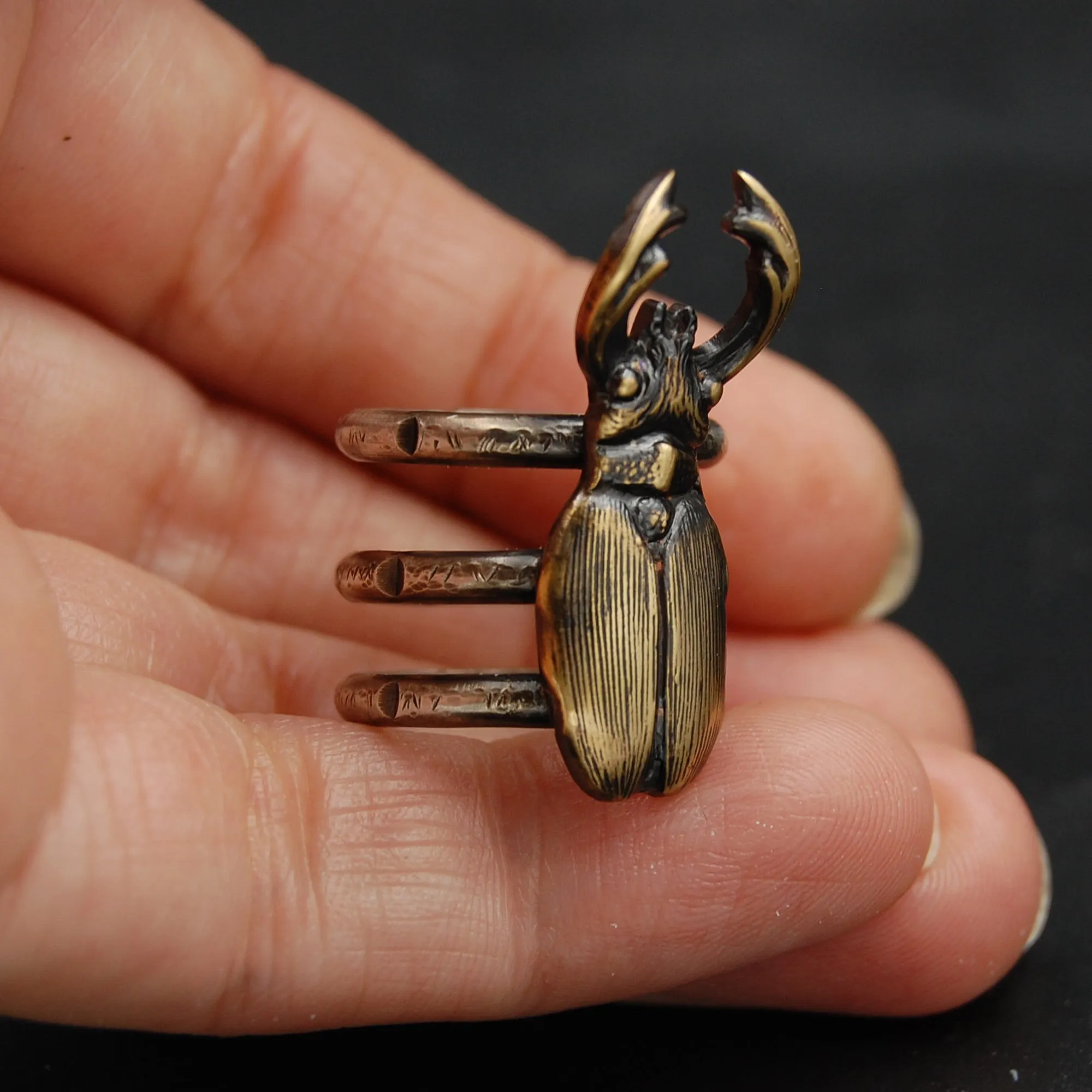 Sterling Silver and Brass Stag Beetle Insect Statement Ring -- Sizes 5 through 10 Available